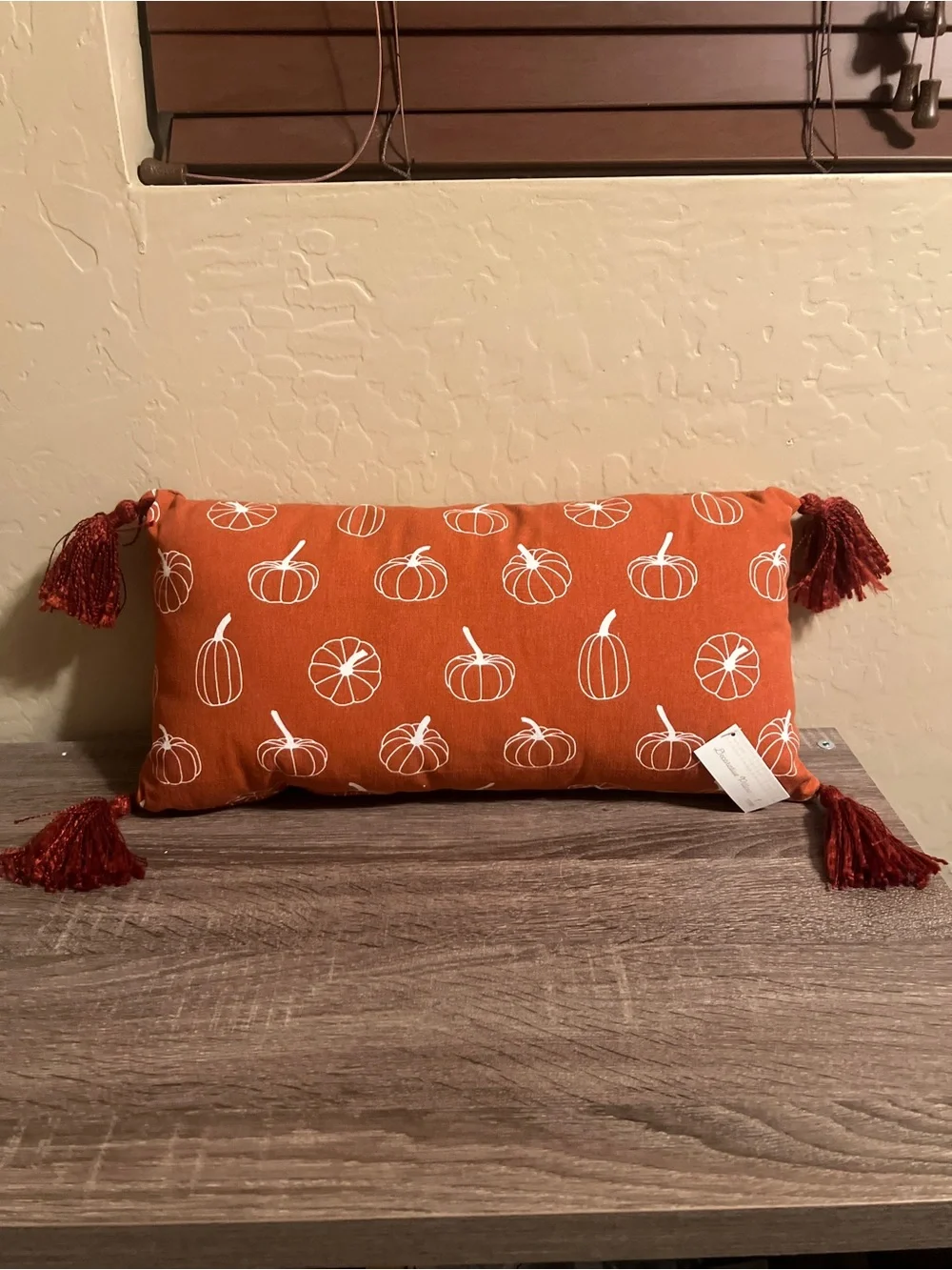 Target Bullseye Tassel Throw Pillow Pumpkins Orange White Lumbar Fall Autumn NWT
